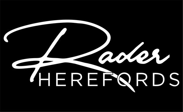 Rader Hereford Christmas 2025 | END DATE: 12-02-25